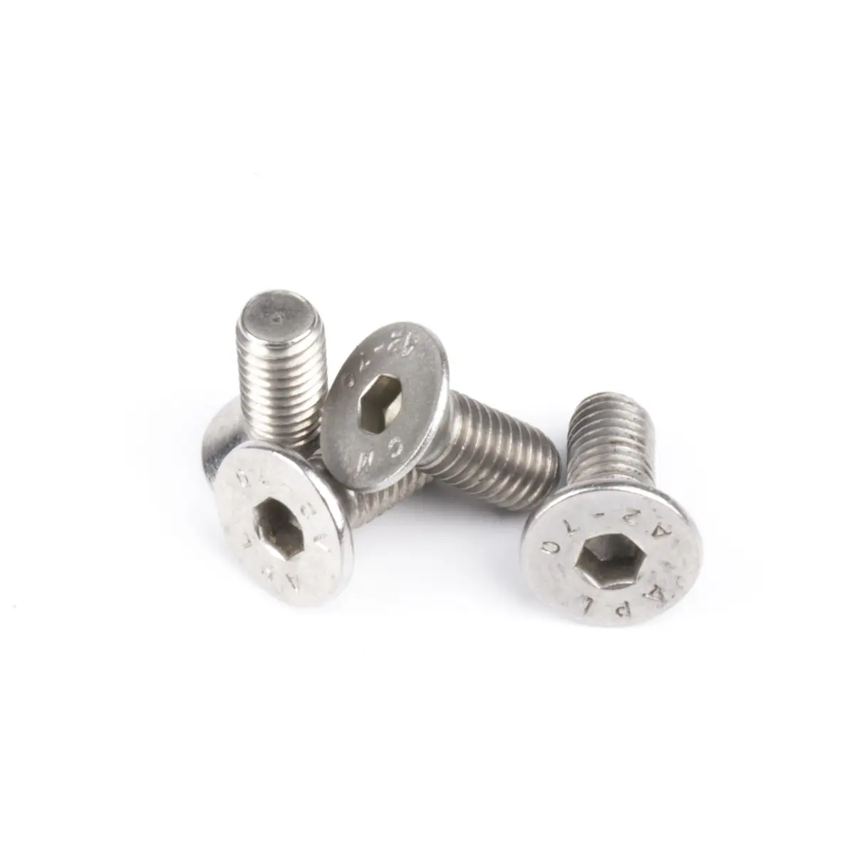 Befestigungsschrauben für den Edelstahl-Revisionsdeckel